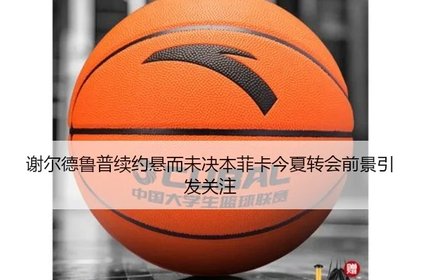 谢尔德鲁普续约悬而未决本菲卡今夏转会前景引发关注